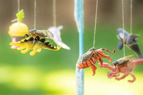 Brood X cicadas emerge after 17 years to swarm the Northeast (Warning ...