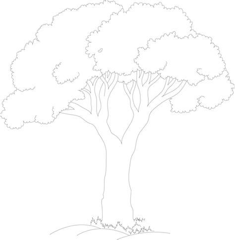 Premium Vector | Tree outline vector illustration