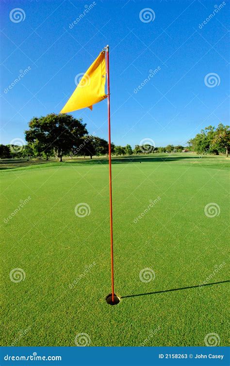 Golf green with flag stock image. Image of elder, business - 2158263