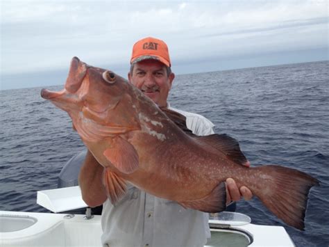 Red Grouper Fishing in the Florida Keys