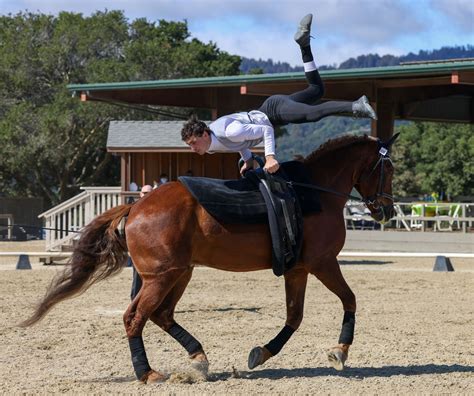 About | Equestrian Vaulting USA