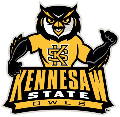 Georgia Usa, Georgia On My Mind, Collage Football, Kennesaw State, Owl ...