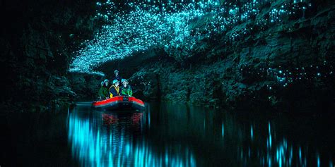 Exploring Waitomo Glowworm Caves | Relaxing Journeys