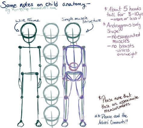 Anatomy drawing, Drawing body proportions, Anatomy reference