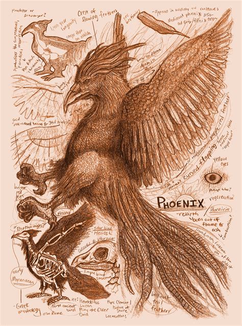 Phoenix Mythical Creature Anatomy Study Print | Etsy | Mythical ...