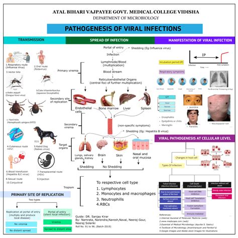 Pathogenesis of Viral infection