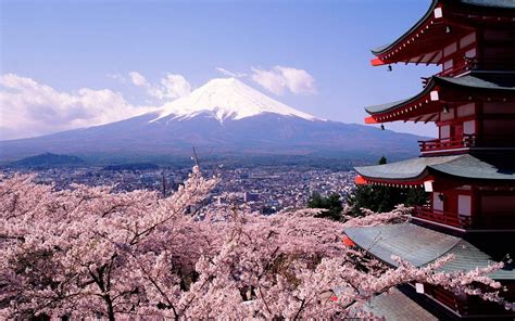 Japan Cherry Blossom Wallpapers - Top Free Japan Cherry Blossom ...