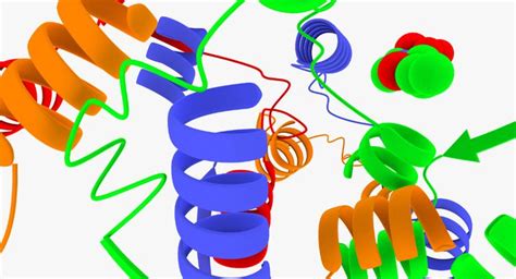 3d animation enzymes model | 3d animation, Enzymes, Animation