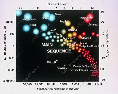 Star classification - Stock Image - R620/0240 - Science Photo Library