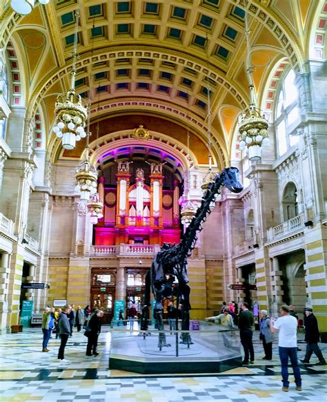 The Kelvingrove Art Gallery and Museum: A Celebration of Art, Natural ...