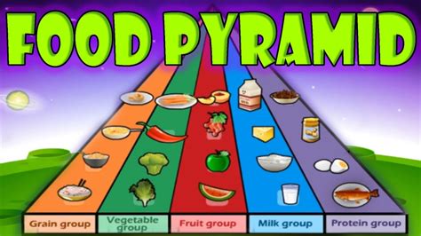 Nutrition, Food Pyramid, Healthy Eating, Educational Videos for Kids ...