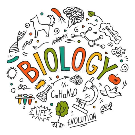 Biology Stock Illustrations – 865,478 Biology Stock Illustrations ...