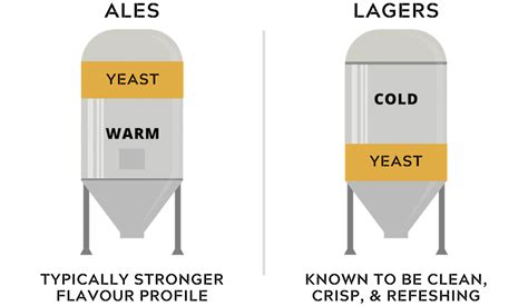 The Basics of Beer | What Are They?