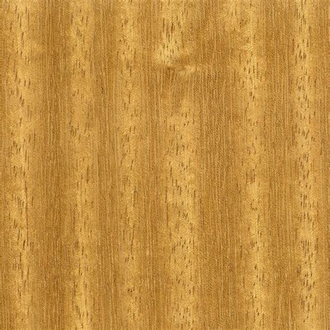 Iroko | The Wood Database - Lumber Identification (Hardwood)