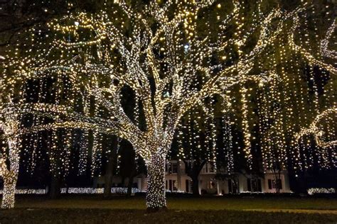 Pecan Grove Christmas Lights 2017 | Shelly Lighting