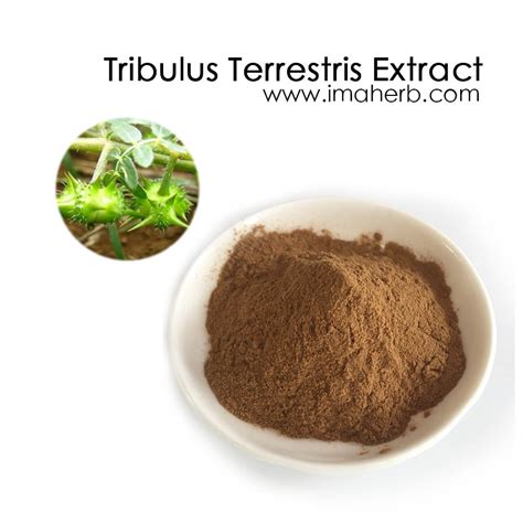 Tribulus Terrestris Extract, Tribulus Terrestris Saponin