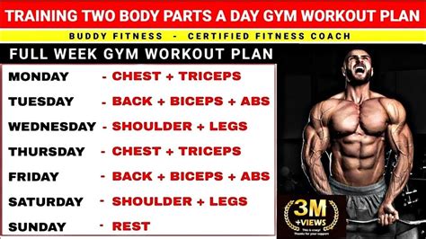 Two Body Parts A Day Workout Plan | Gym Workout | Two Body Parts ...