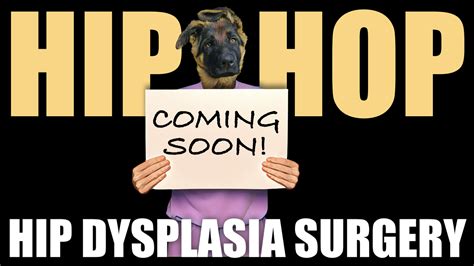 HIP DYSPLASIA SURGERY — VETLESSONS