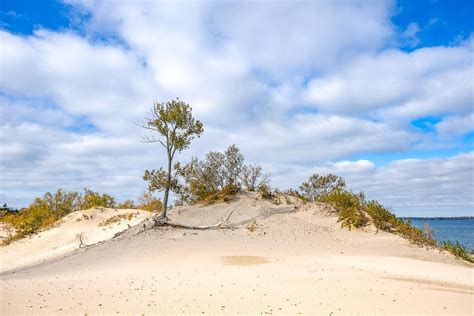 Everything You Need To Know To Experience Sandbanks Provincial Park ...