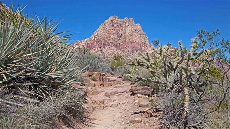 Spring Mountain Ranch State Park | Las Vegas, NV