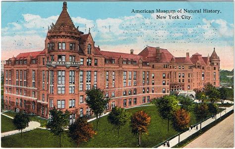 File:American Museum of Natural History, New York City.png - Wikipedia