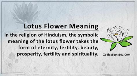 Lotus Flower Meaning: The Symbol Of God Of Creation - ZodiacSigns101