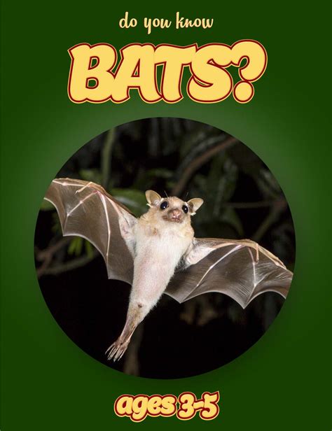 Bat Facts For Kids Pdf