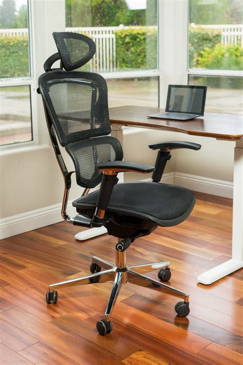 Ultimate Lumbar Support Mesh Chair - ErgoMax Office-