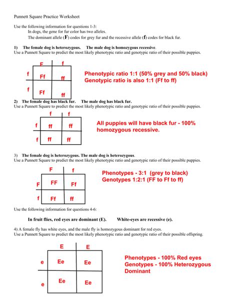 Genetics Punnett Squares Pdf