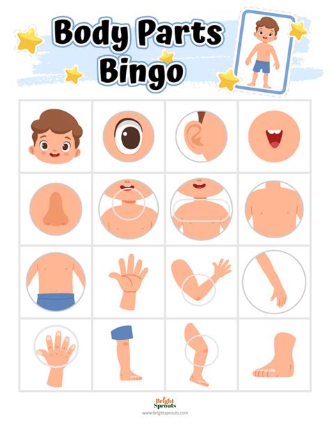 Printable Preschool Body Parts Bingo