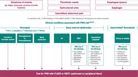 PNH Testing, Symptoms & Treatment | Ultomiris.com