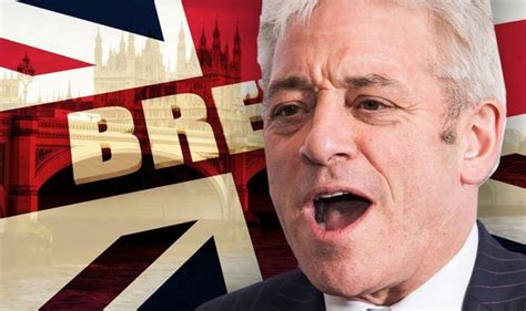 John Bercow - the Great Remainer: Brexit ‘not irreversible’ & 2nd ...