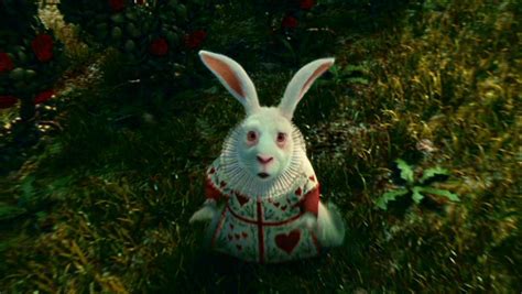 Tim Burton's 'Alice In Wonderland' - Alice in Wonderland (2010) Image ...