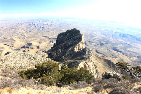 Ted's Life - Kansas and Beyond: Winter-Spring 2012: Organ Needle ...