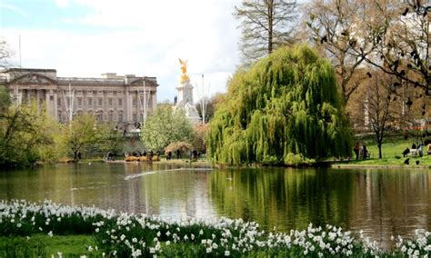 To Discover Ice: St James Park, London