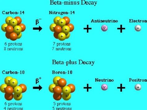 5 Beta Decay Examples in Real Life – StudiousGuy