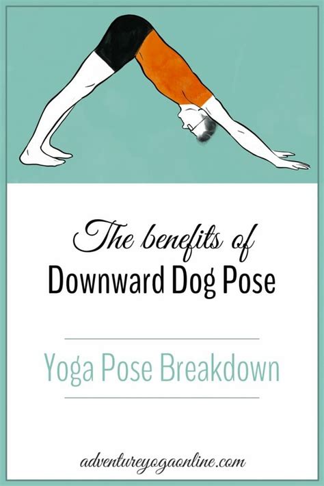 Downward Dog Benefits & Yoga Pose Tutorial - Adventure Yoga Online