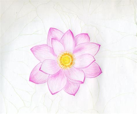 Gallery Realistic Flower Drawing Step By Step