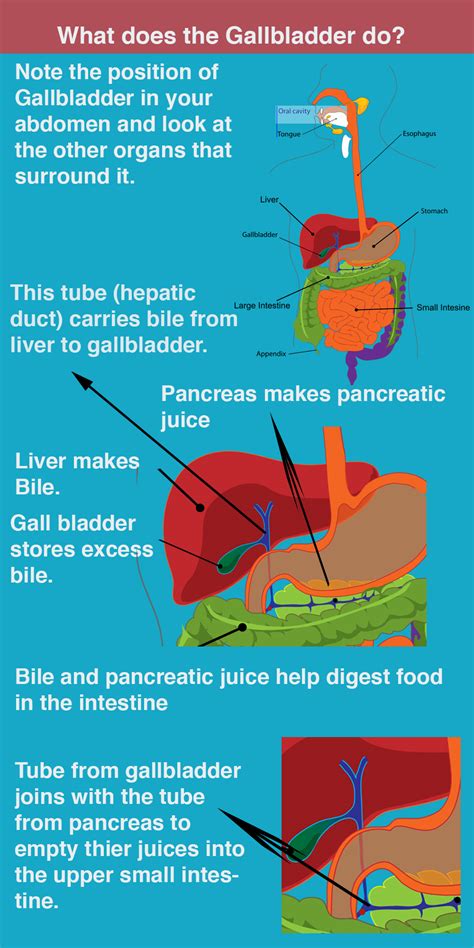 Gallbladder symptoms: Details with examples