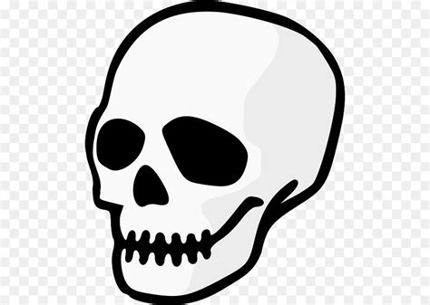 Human skull symbolism Skeleton Human anatomy - skeleton Head png ...