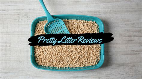 Pretty Litter Reviews: A Good Way To Know About Your Cat’s Health