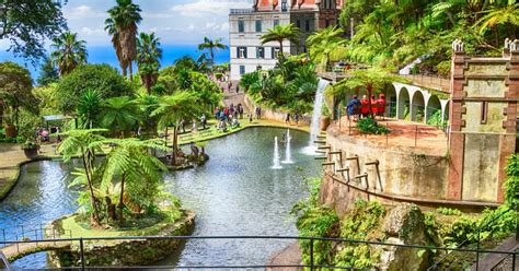 Escursione per crociere: tour guidato a piedi di Funchal | musement