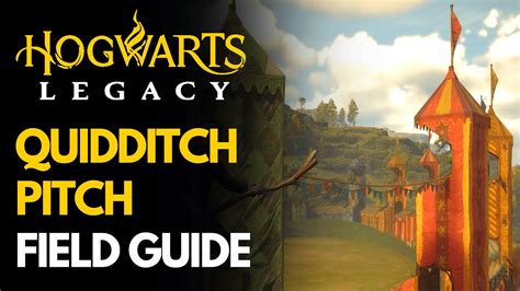 Quidditch pitch Field guide location Hogwarts Legacy - YouTube