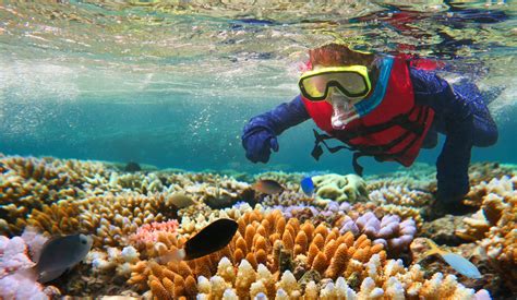 Great Barrier Reef Experience – QLD Education Experiences