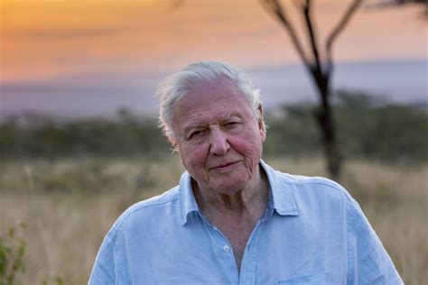 David Attenborough Netflix Our Planet - Riset