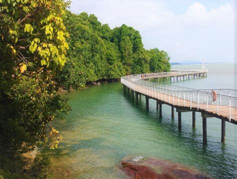 Pulau Ubin & Chek Jawa