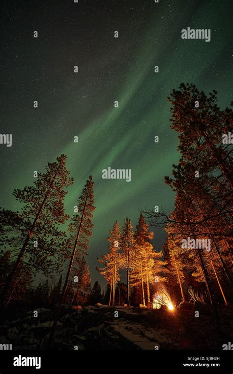 Northern lights, Lapland, Sweden Stock Photo - Alamy