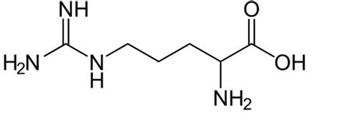 Arginine: Properties, Benefits, Sources and Side Effects - Wrinkles Center