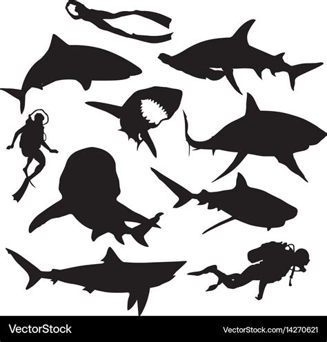 Shark silhouette Royalty Free Vector Image - VectorStock