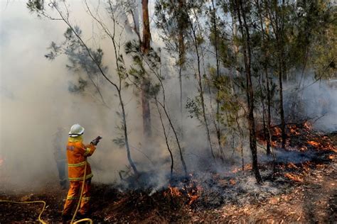 Hujan Kurangi Dampak Kebakaran Hutan Australia - Kabar24 Bisnis.com